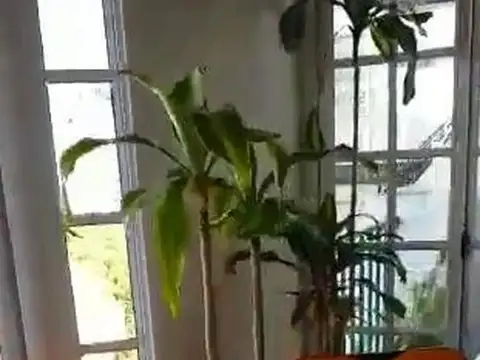 Departamento en Alquiler Temporal 15 años