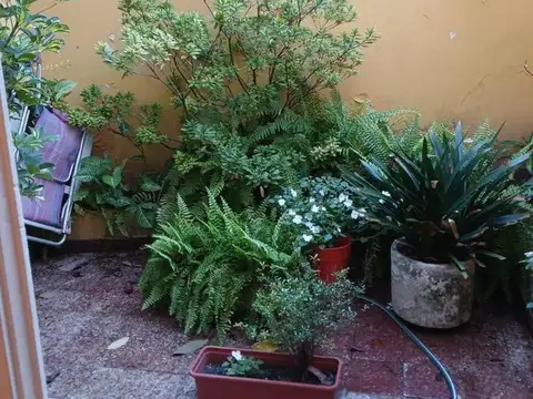 PH de 75 m2. 3 Ambientes en PB c/ 2 patios