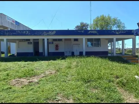 Ruta 29