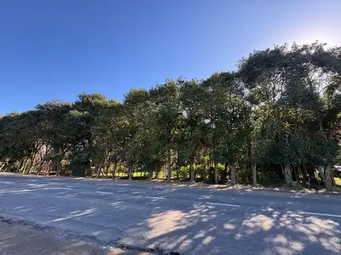 40 m. de frente sobre Ruta 4