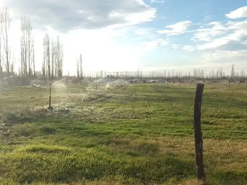 San Rafel de Mendoza