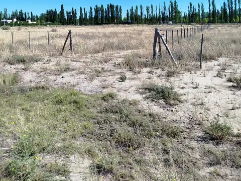 Terreno en Venta 66  mts Fondo