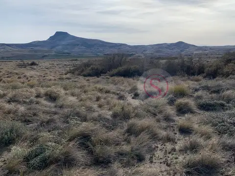 Junin de los Andes 100