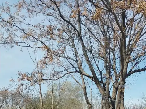 Terreno en Venta de 600,0 m2