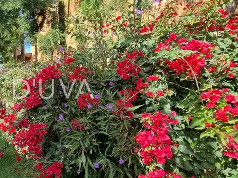 Casa Monoambiente con 1 baño