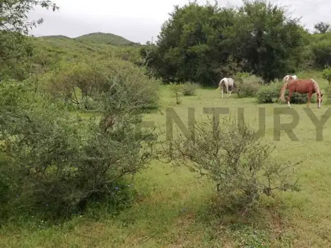 CAMPO  8 HECTAREAS FALDA DEL CAÑETE