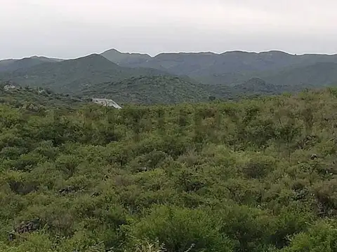 Terreno en Venta de 8,0 m2