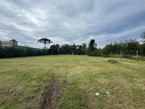 Casella y Ruta 25 100