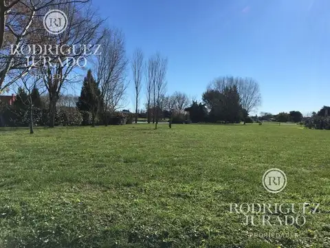 Haras San Pablo 200