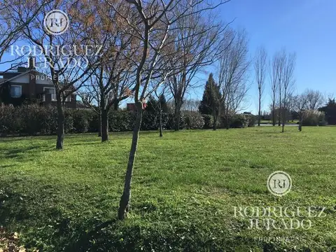 Haras San Pablo 200