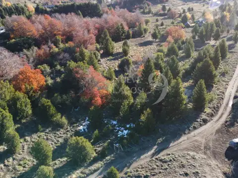 Terreno en Venta en Meliquina, USD 39.000