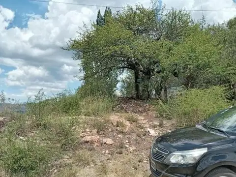 Pitagoras 200