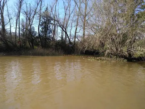 Terreno Lote  en Venta en Caraguatá, Zona Delta, Tigre