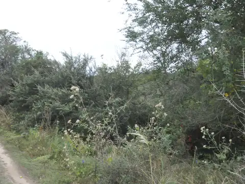 Terreno en Venta, Casa Grande 1448 - Punilla, Provincia de Córdoba