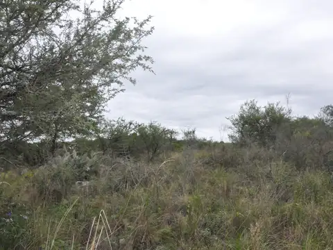 Terreno en Venta 20  mts Fondo