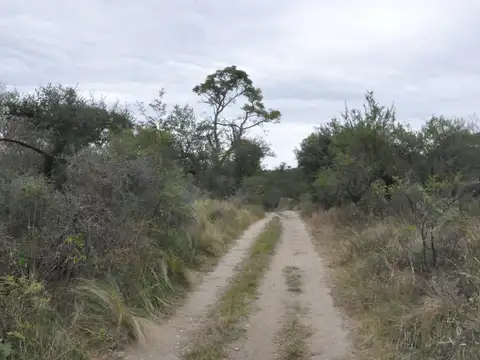 chañares