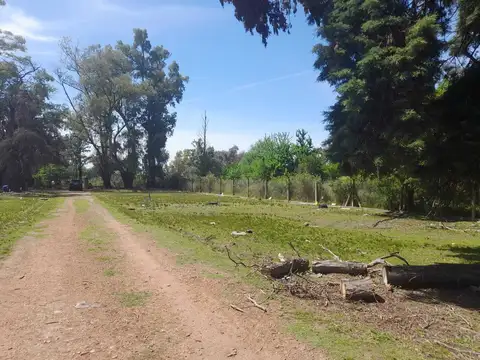 Terreno en Venta 162  mts Fondo