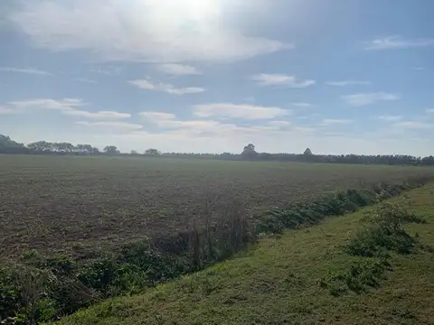 CAMPO ZONA RURAL SOLDINI 6HAS  AGRICOLAS