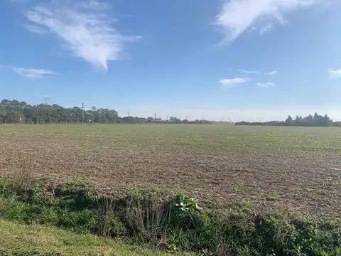 CAMPO ZONA RURAL SOLDINI 6HAS  AGRICOLAS