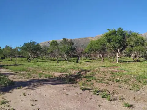 Terreno en Venta, FOT 30