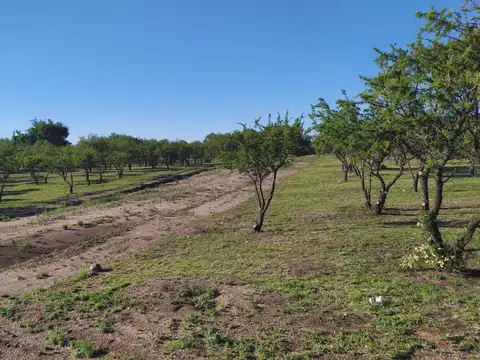 Lotes de 880 metros en venta Cortaderas San Luis