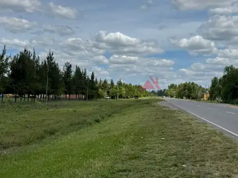 Terreno Campo  en Venta en Parada Robles, Exaltación de la Cruz, G.B.A. Zona Norte