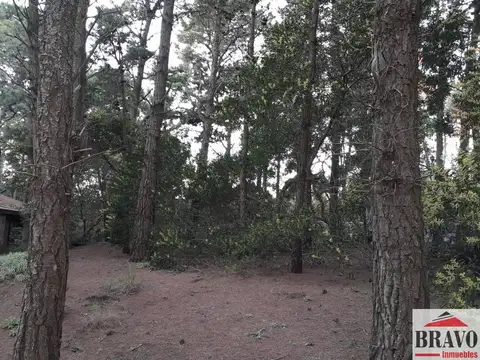 Terreno en Venta 40  mts Frente