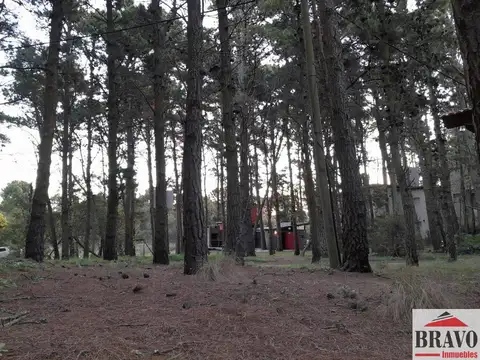 Terreno en Venta 40  mts Fondo