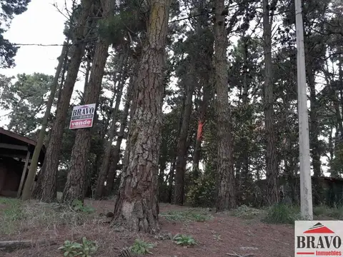 Evaristo Carriego y Av del Plata 100