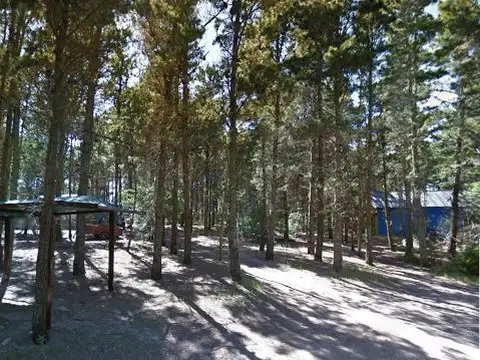 Evaristo Carriego y Av del Plata 100