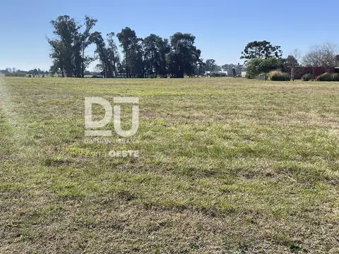 Terreno en Venta 50  mts Fondo