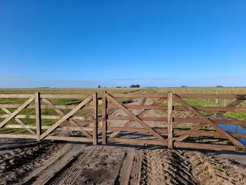 Campo en Venta con Alambrado