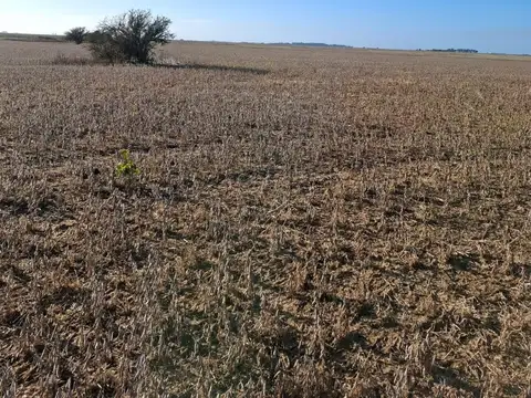 ruta 74  KM 20