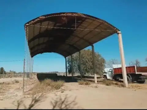 Campo en Venta Agrícola