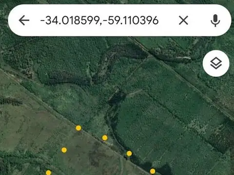 Rio / Arroyo Paraná de las Palmas Zarate 100