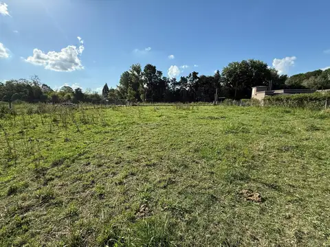 Terreno en Venta 50  mts Fondo