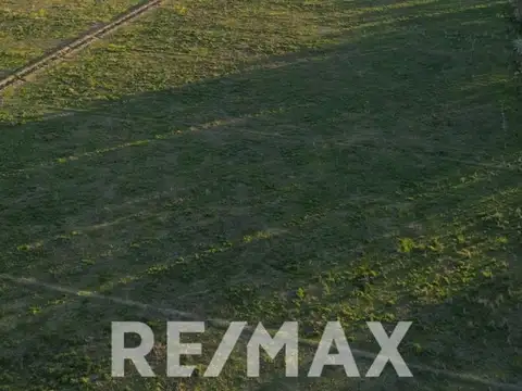 VENTA CHACRA LUIS BELTRAN 5,6 HECTAREAS