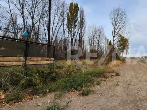 Ruta 22 1200