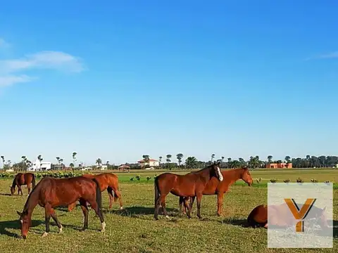 Terreno en Venta en Cañuelas, USD 85.000