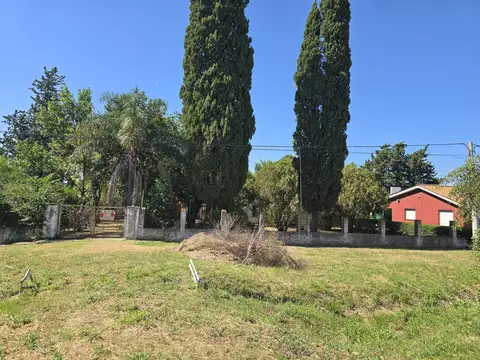 Colec Ruta 12 100, Piso 0