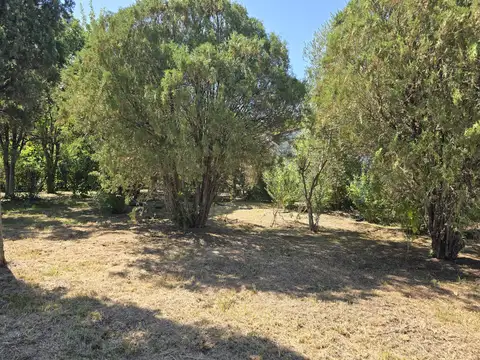 Quinta en Venta 50 años