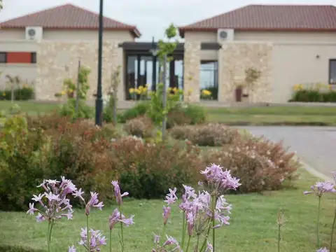 Terreno en Venta en Santa Rita, USD 55.000