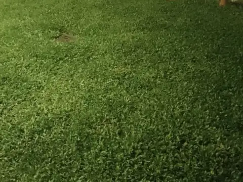 Departamento en Venta 3 años