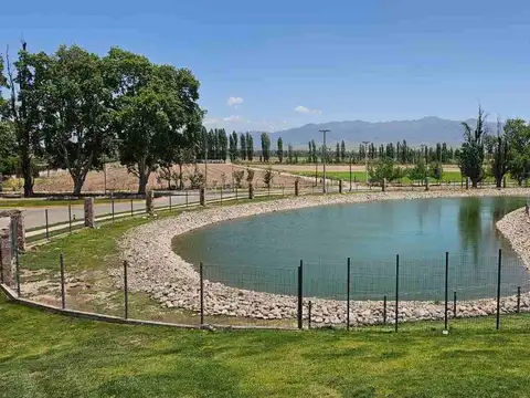 Terreno en Venta en Lujan De Cuyo, USD 76.000