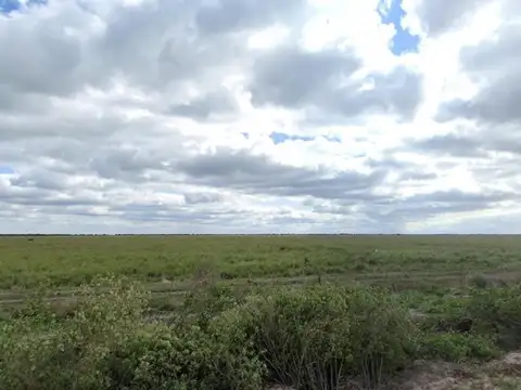 Ruta 77