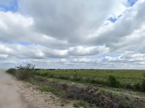Ruta 77