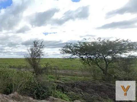 Campo en venta - 2.490 Hectáreas - Santa Fe