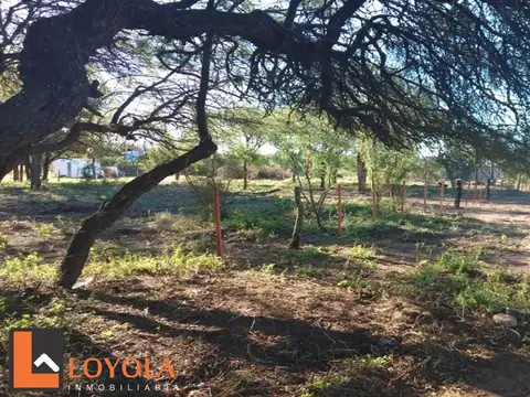 Lote de 1500 mts con forestacion autoctona  Los Molles