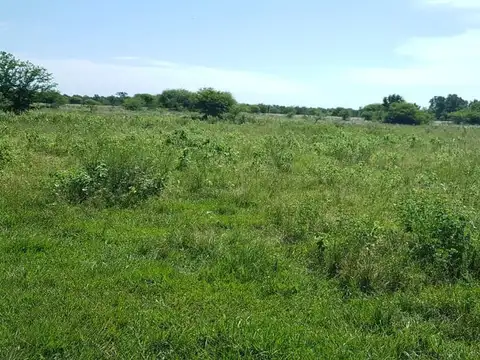 Campo grandioso en Argentina- Formosa-Estanislao Del Campo