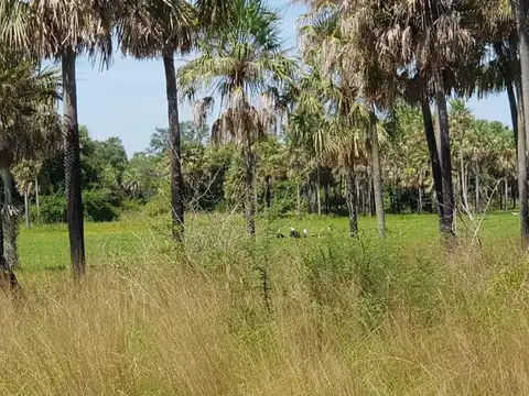 Argentina - Formosa - Estanislao del Campo